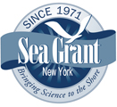 NYSG Logo