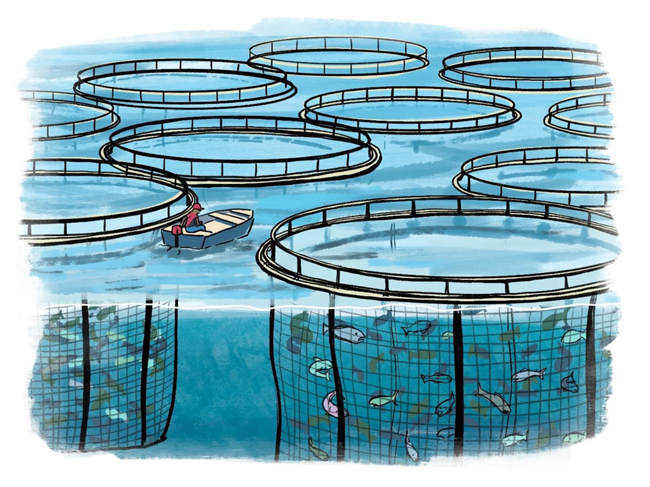 NY Sea Grant  NYSG: New York Aquaculture (Fish from New York Farms Could  Uplift Economy, Health, March '23)
