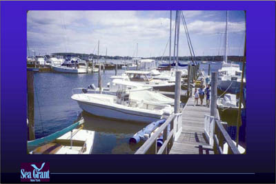 Marina Image Slide Show