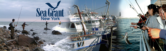 DEC Announces Completion of Dunkirk Harbor Fishing Platform Enhancements -  NYSDEC