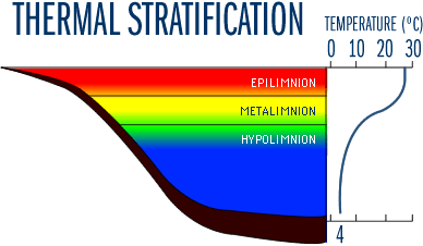 ThermalStrat